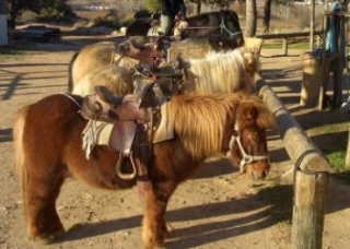 Giro in pony nel parco 